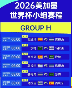 球迷狂欢庆祝世界杯 官方指定买球网站